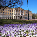 Store mengder krokus blomstrer i Slottsparken om våren. 250 000 løk ble satt ned til jubileet i 2005. Foto: Liv Osmundsen, Det kongelige hoff